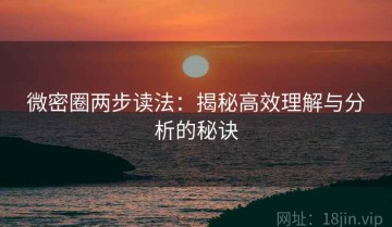 微密圈两步读法：揭秘高效理解与分析的秘诀