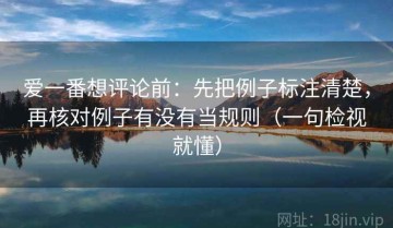 爱一番想评论前：先把例子标注清楚，再核对例子有没有当规则（一句检视就懂）