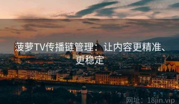 菠萝TV传播链管理：让内容更精准、更稳定