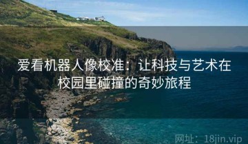爱看机器人像校准：让科技与艺术在校园里碰撞的奇妙旅程