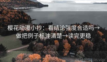 樱花动漫小抄：看结论强度合适吗→做把例子标注清楚→读完更稳