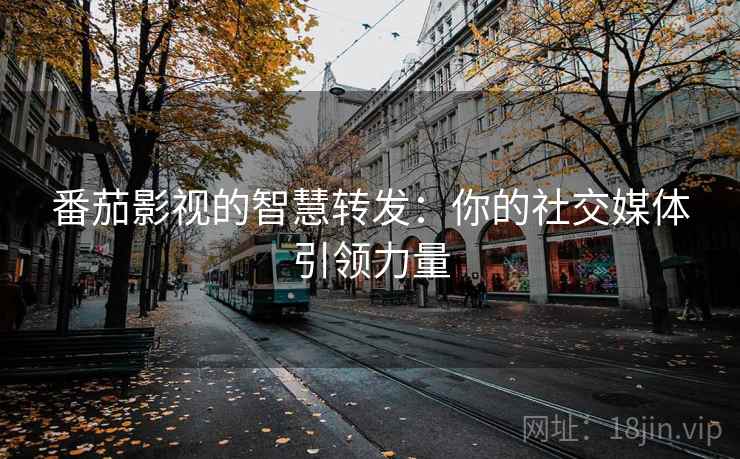番茄影视的智慧转发：你的社交媒体引领力量